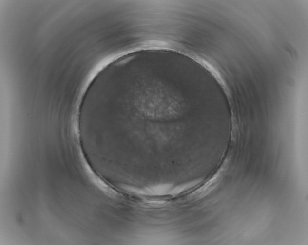 X0000110701342200907241117