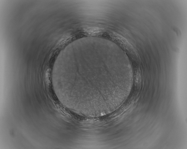 X0000110701346200907241116