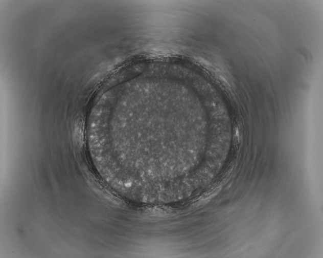 X0000110701348200907241116