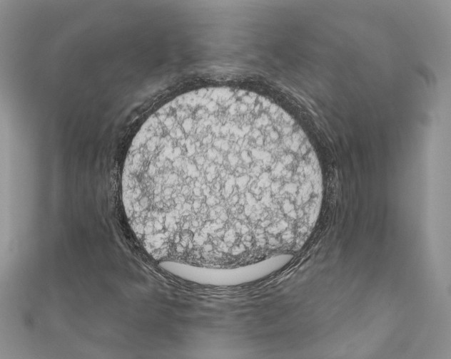 X0000110701349200907241116