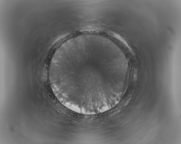 X0000110701350200907241116