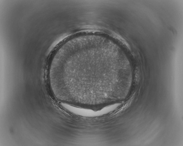 X0000110701352200907241116