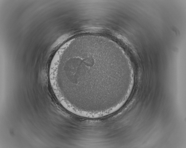 X0000110701354200907241116