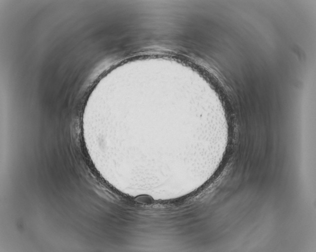 X0000110701355200907241116