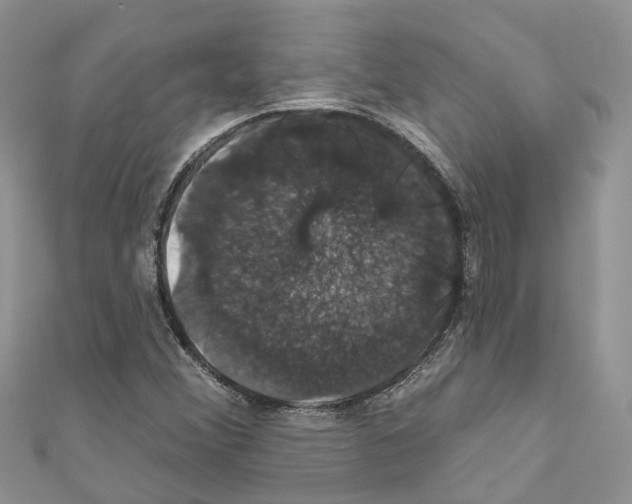 X0000110701356200907241116