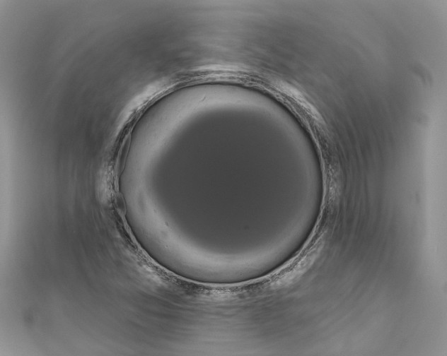 X0000110701357200907241116