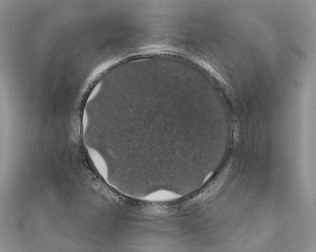 X0000110701358200907241116