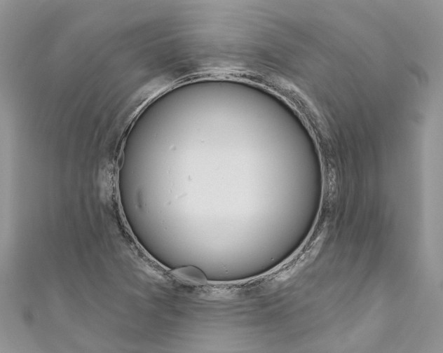 X0000110701361200907241116