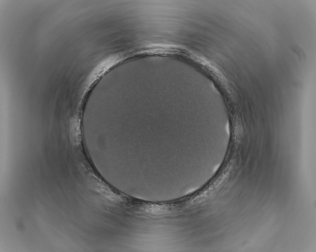 X0000110701362200907241116