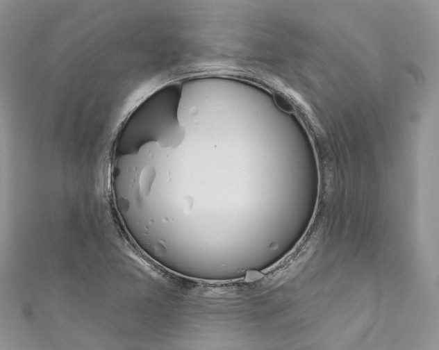 X0000110701365200907241116