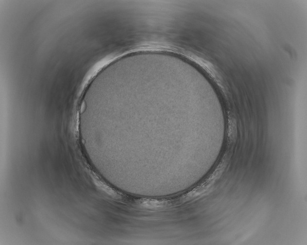 X0000110701366200907241116