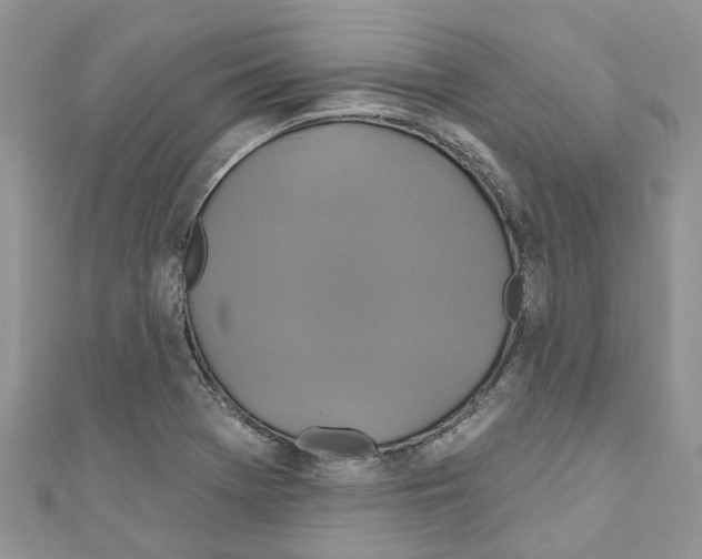 X0000110701369200907241116