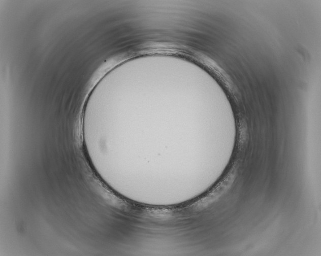 X0000110701370200907241116