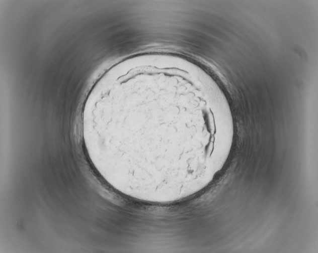 X0000110701371200907241116
