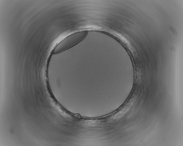X0000110701373200907241116
