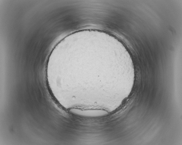 X0000110701375200907241116