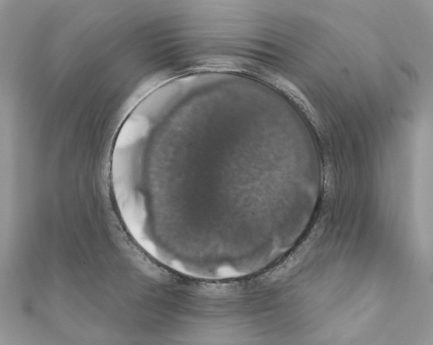 X0000110701378200907241116