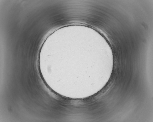 X0000110701379200907241116