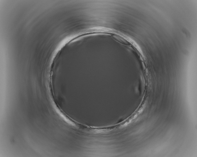 X0000110701381200907241116