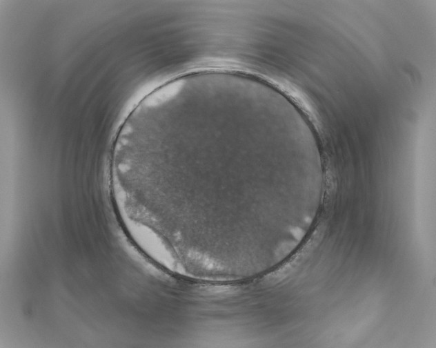 X0000110701382200907241116