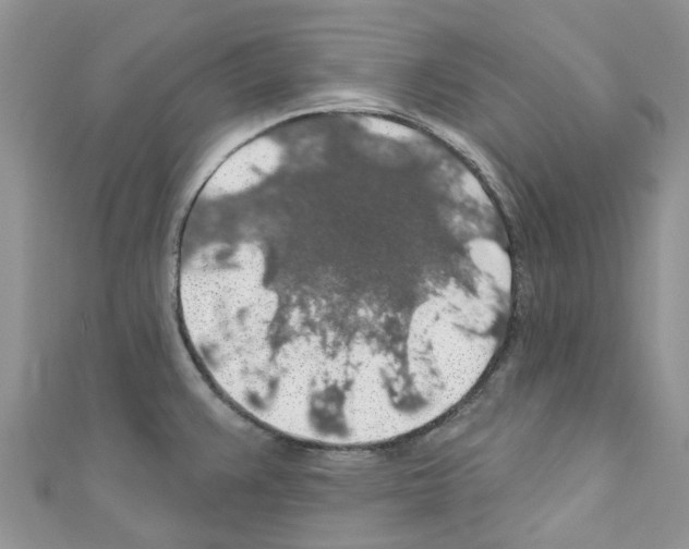 X0000110701383200907241116