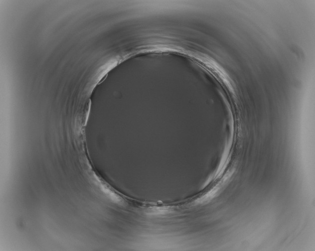 X0000110701385200907241116