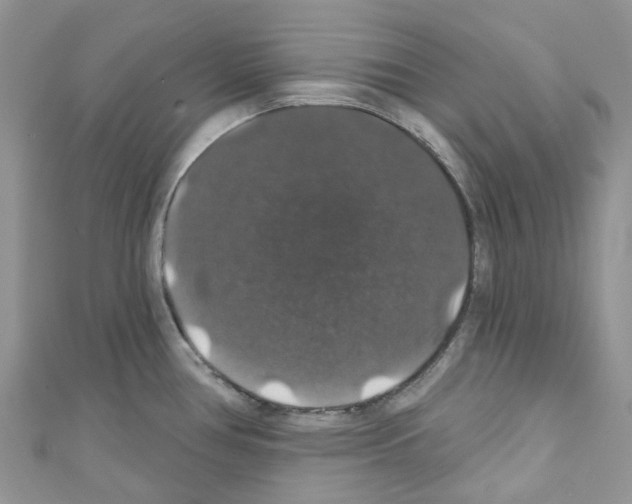 X0000110701386200907241116