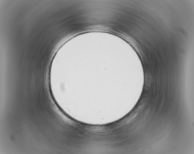 X0000110701387200907241116