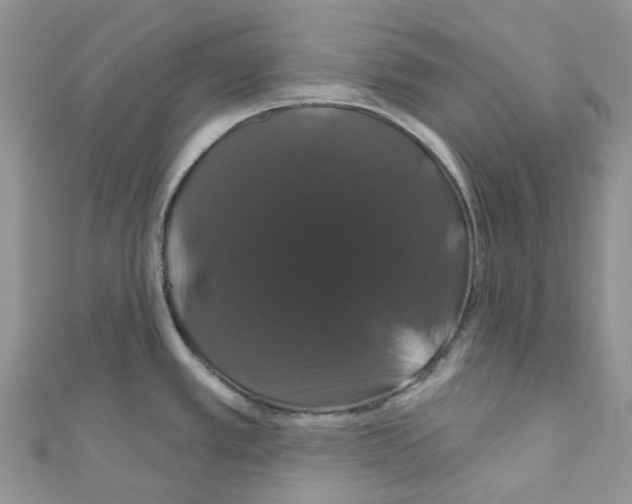 X0000110701389200907241116