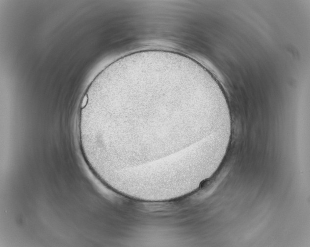 X0000110701391200907241116