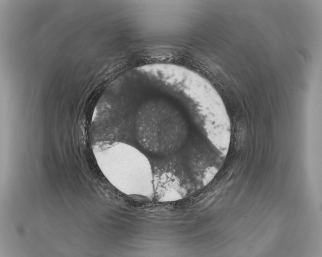 X0000110701394200907241115
