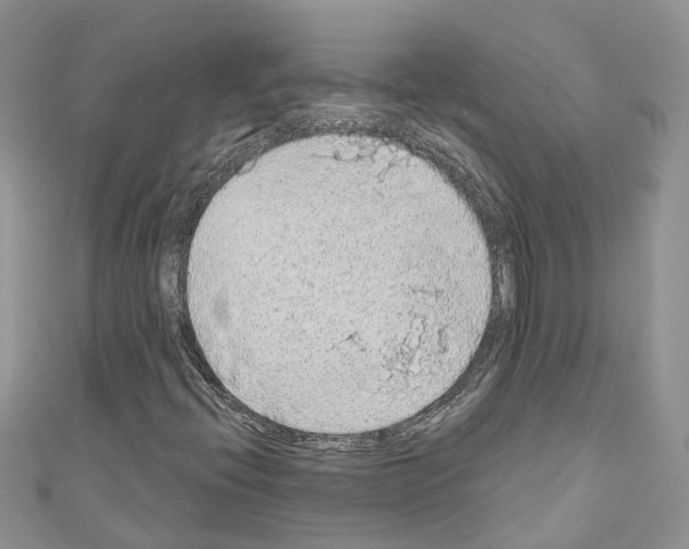 X0000110701396200907241115