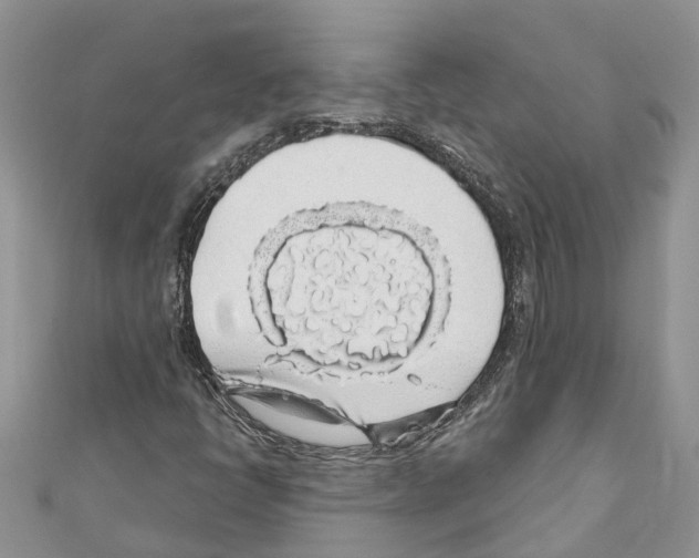 X0000110701398200907241115