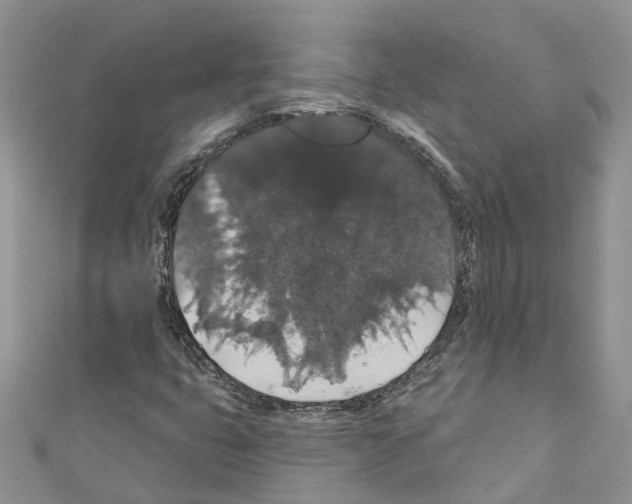 X0000110701399200907241115