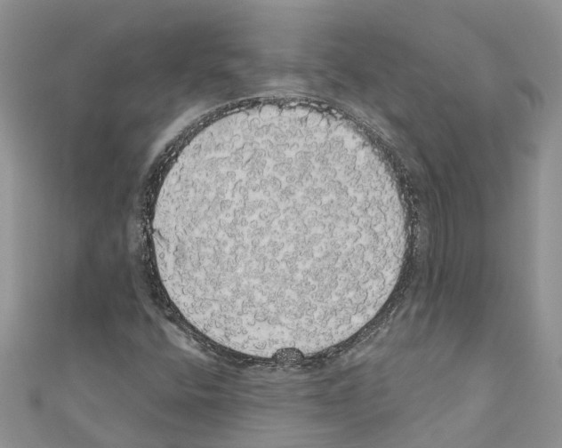 X0000110701400200907241115