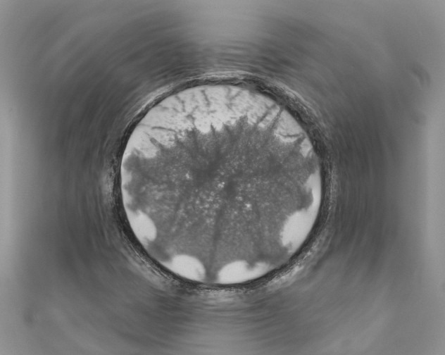 X0000110701401200907241115