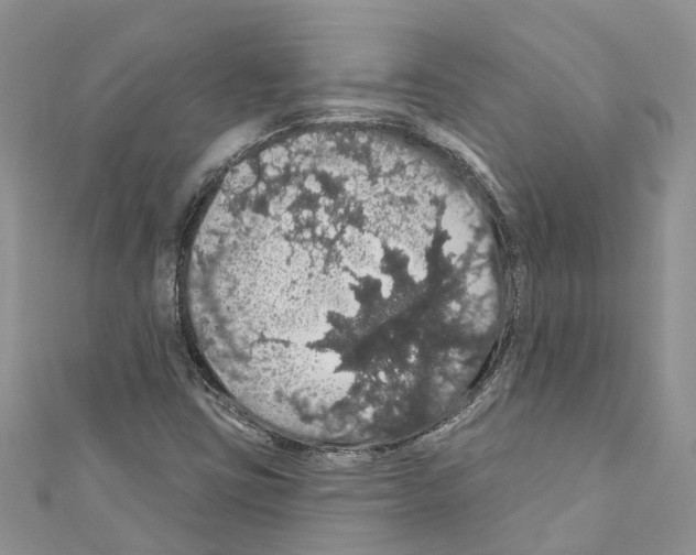 X0000110701403200907241115