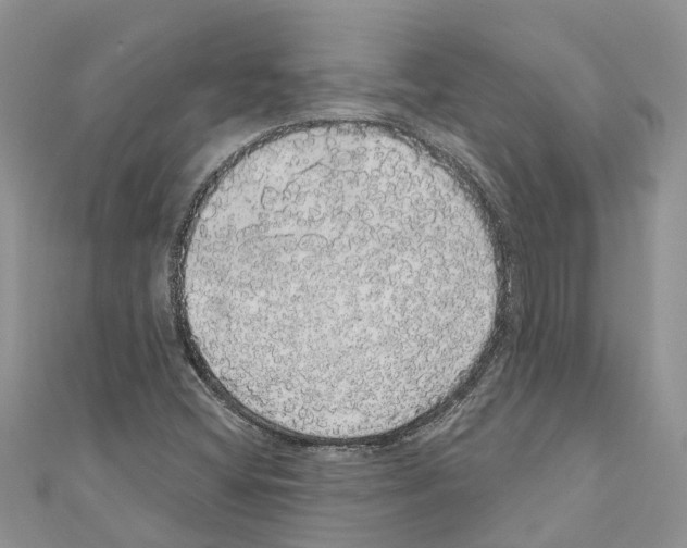 X0000110701404200907241115