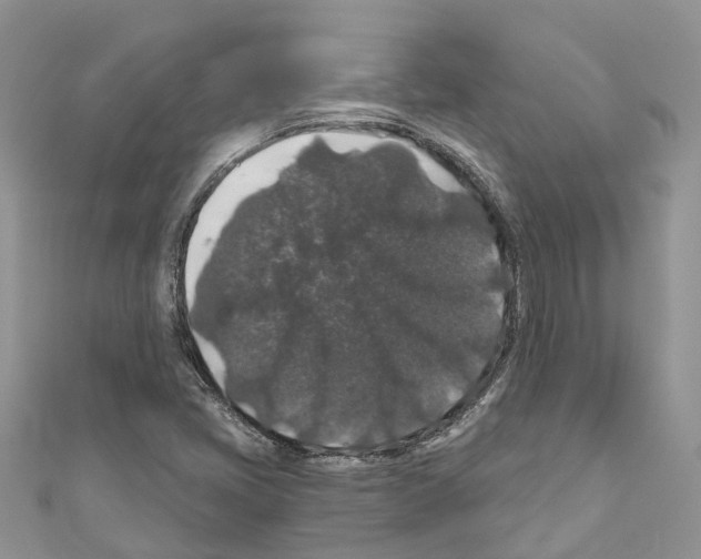 X0000110701405200907241115