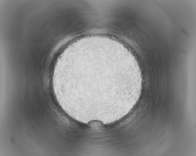 X0000110701406200907241115