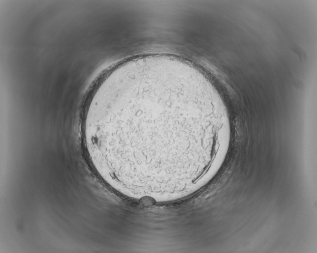 X0000110701408200907241115