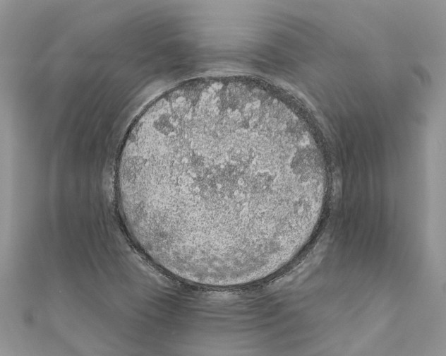 X0000110701409200907241115