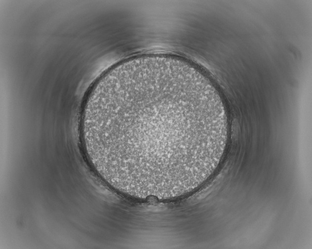 X0000110701410200907241115