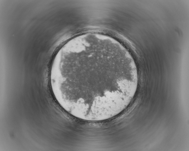 X0000110701411200907241115