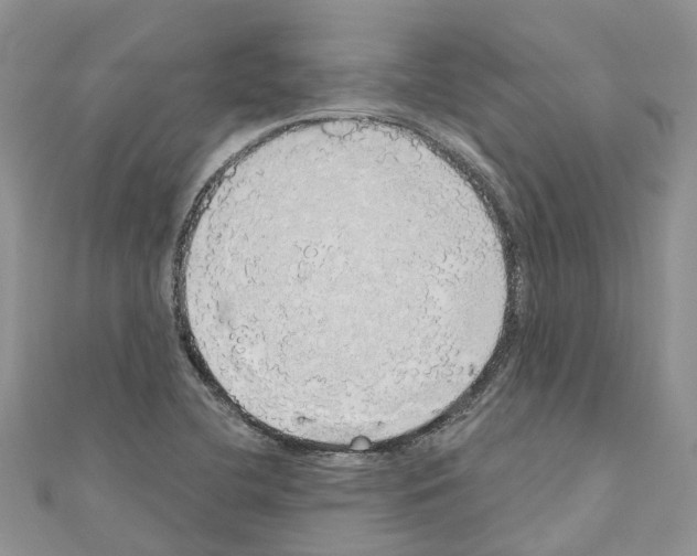 X0000110701412200907241115