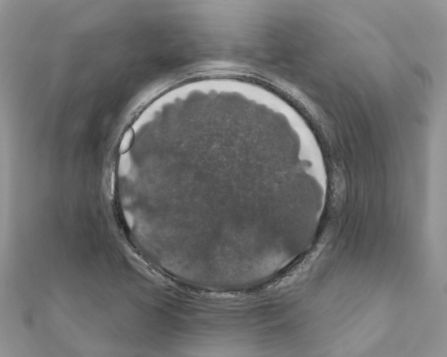 X0000110701413200907241115