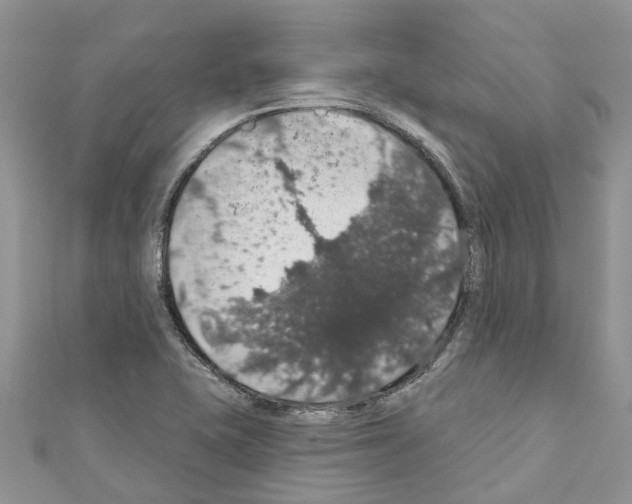 X0000110701415200907241115