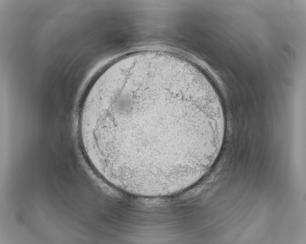 X0000110701416200907241115