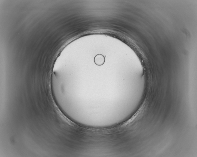 X0000110701417200907241115