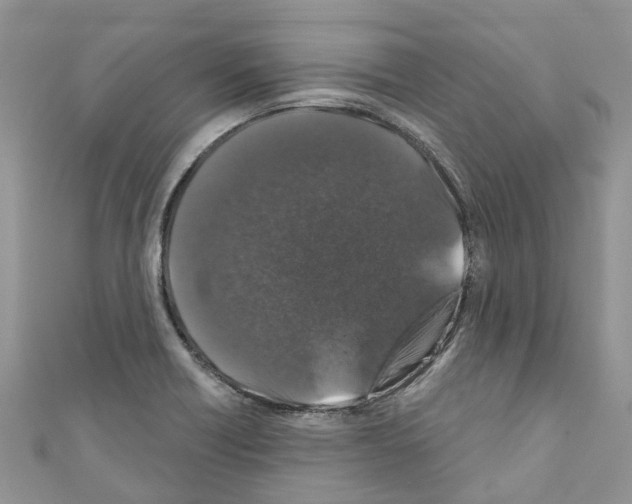 X0000110701418200907241116